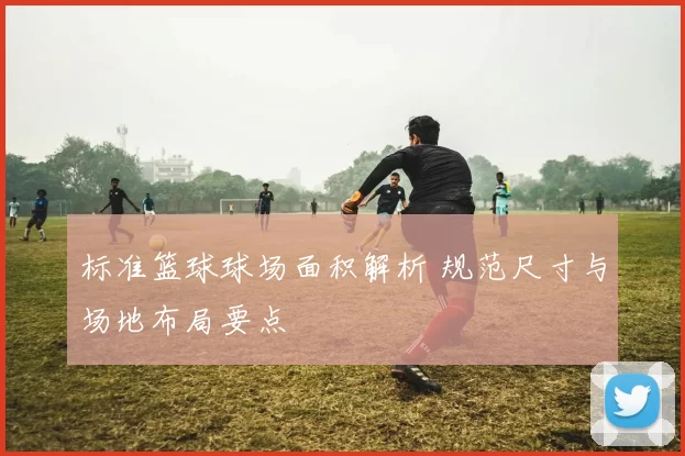 标准篮球球场面积解析 规范尺寸与场地布局要点