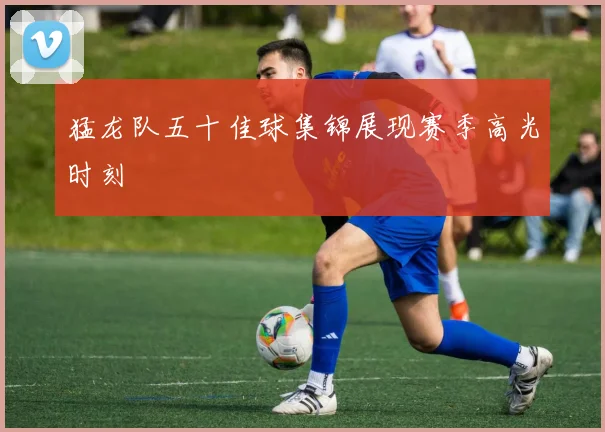 猛龙队五十佳球集锦展现赛季高光时刻