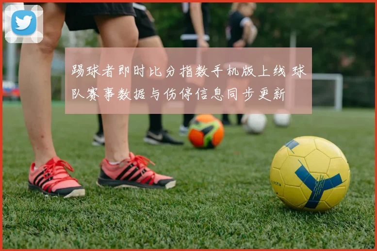踢球者即时比分指数手机版上线 球队赛事数据与伤停信息同步更新