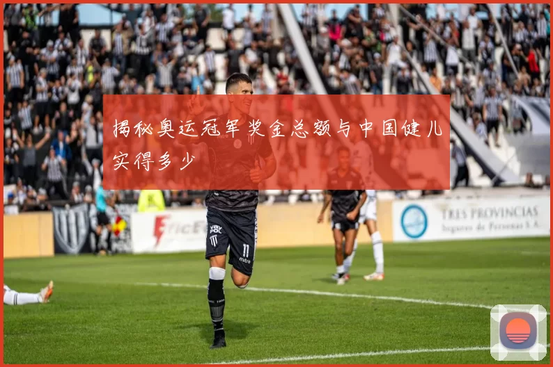 揭秘奥运冠军奖金总额与中国健儿实得多少