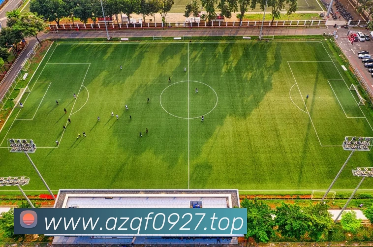 开云·kaiyun(中国)·web版登录入口平台生态图