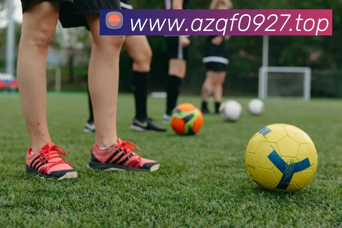 开云·kaiyun(中国)·web版登录入口服务体系