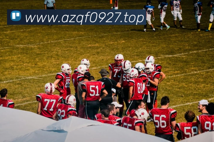 数据防护可视化